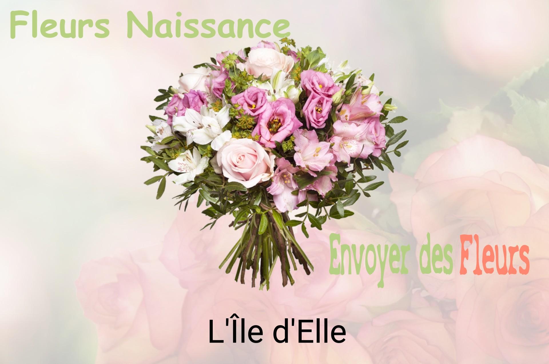 Bouquet de fleurs de naissance livré à L'Île-d'Elle